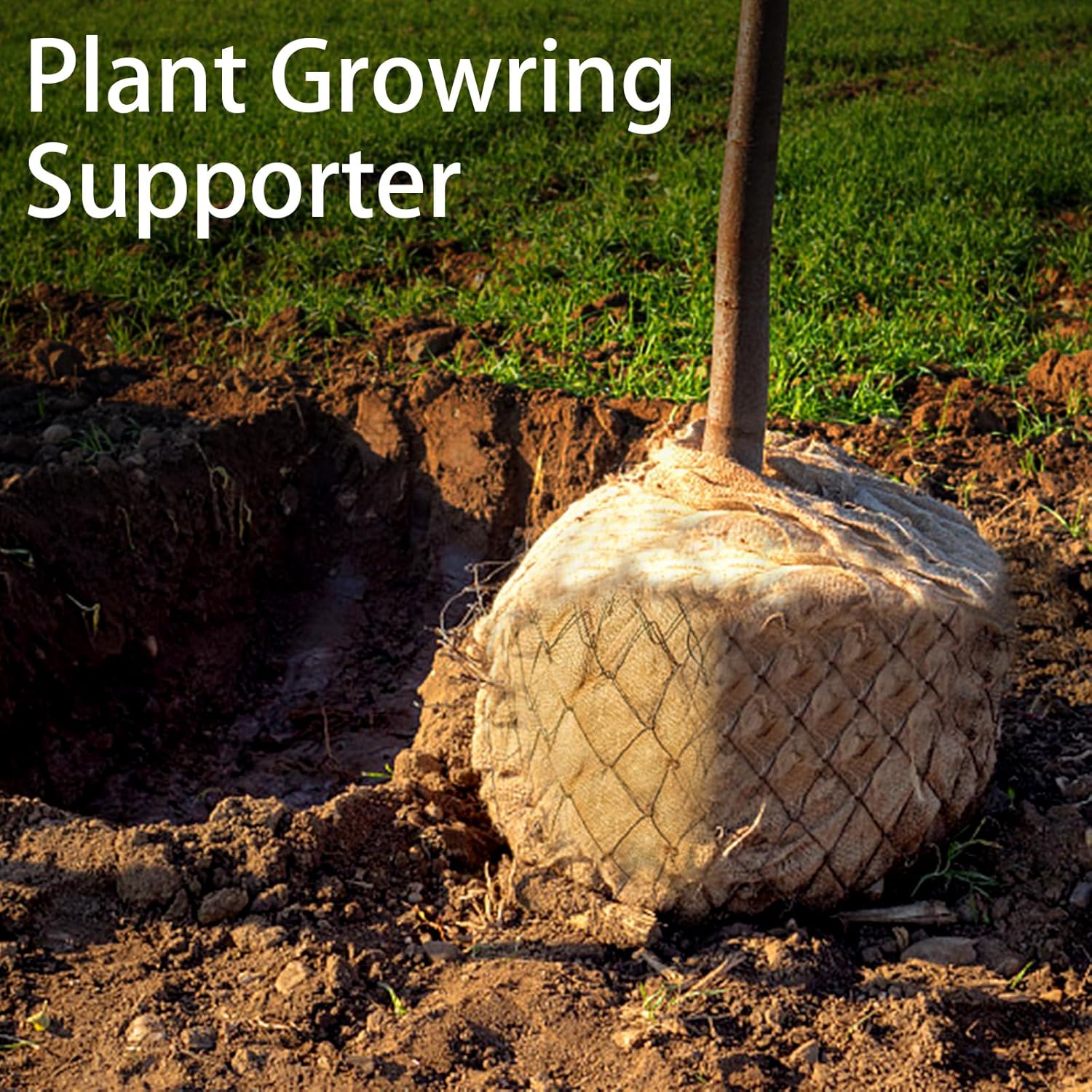 1 حزمة أكياس البطاطس أكياس الخ - مراجعة Food Storage Roots وسعره