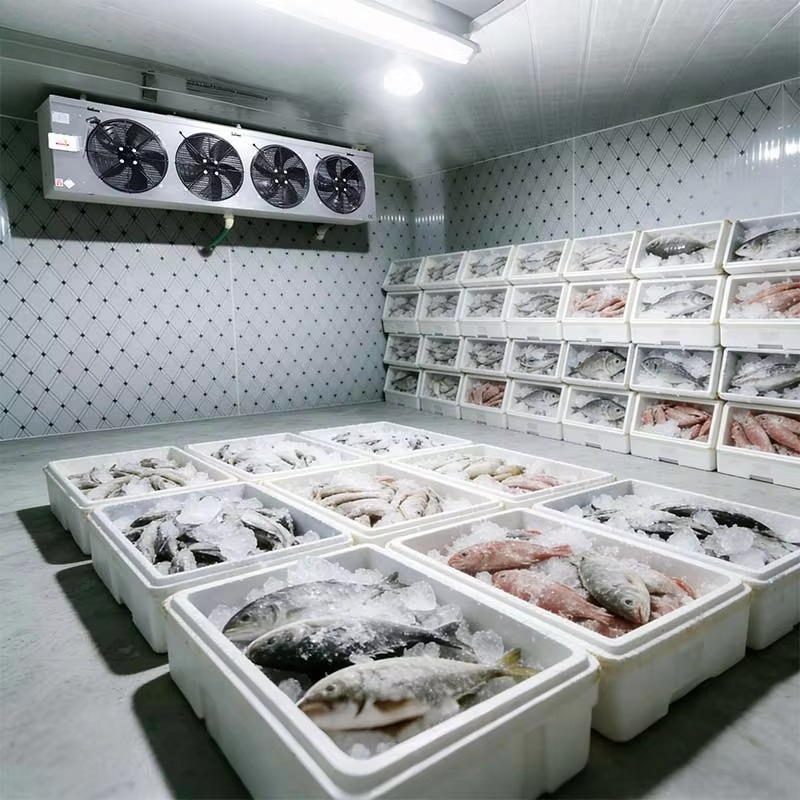 غرفة تبريد مخصصة لتخزين الأطعم - مراجعة Food Storage And Safety وسعره
